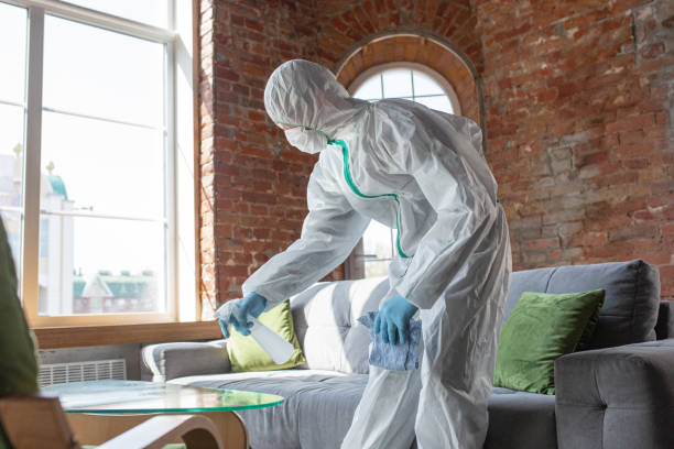 Best Asbestos and Lead Testing During Mold Inspection in Shiloh, PA