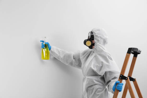 Best Mold Remediation for Healthcare Facilities in Shiloh, PA